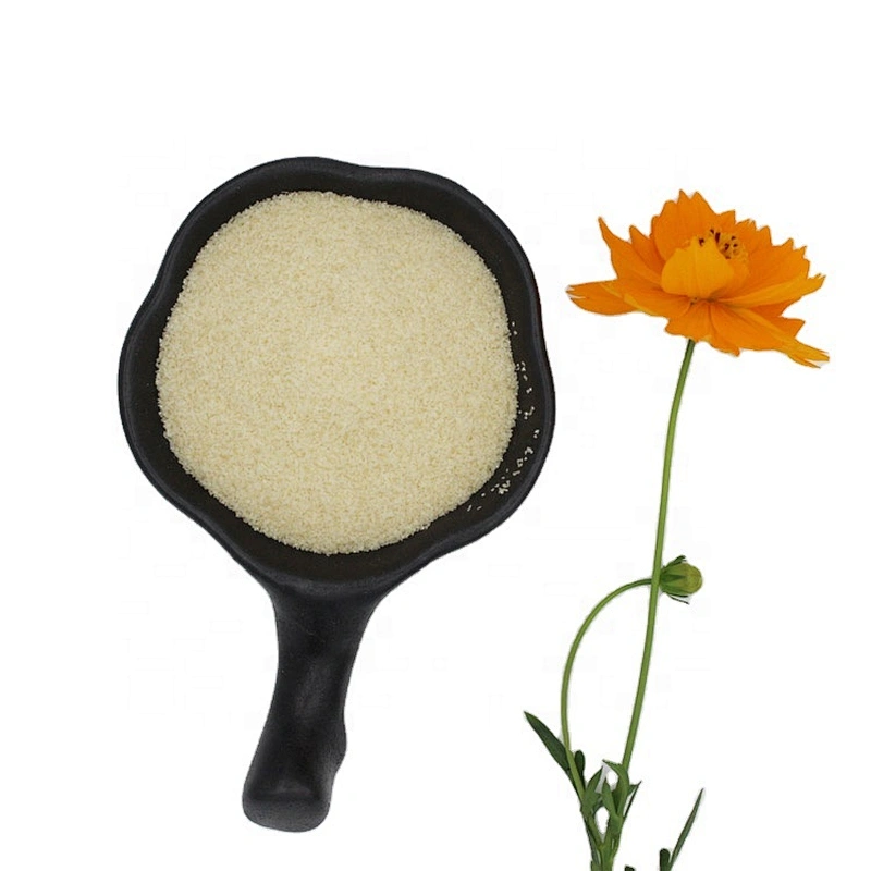 280 Bloom High Viscosity Gelatin with Halal Certificate Beef gelatin powder price